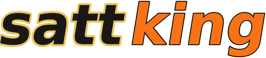 sattking logo